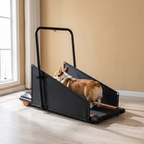 Foldable dog treadmill with a corgi walking on it in a living room - wrenwood hero