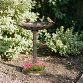 Antique bronze pedestal bird bath in a garden border with a small bird on the rim - wrenwood hero
