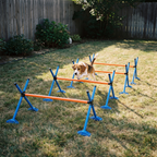 Four piece dog agility jump bar hurdle set on a backyard lawn with a beagle - wrenwood hero