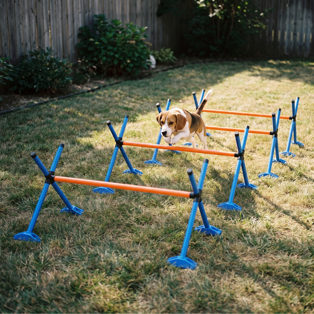 Four piece dog agility jump bar hurdle set on a backyard lawn with a beagle - wrenwood hero