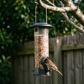 Hanging tube seed feeder in a garden with a sparrow feeding - wrenwood hero