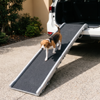 Extra long folding non slip dog ramp set up to a car boot with a beagle walking down - wrenwood hero