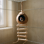 Coconut bird nest with wooden ladder hanging in a cage with a finch - wrenwood hero