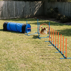 Seven piece dog agility course set with tunnel, jump ring and weave poles on a backyard lawn - wrenwood hero