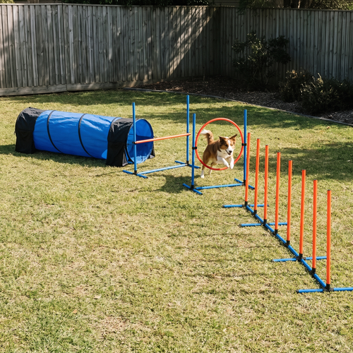 Seven piece dog agility course set with tunnel, jump ring and weave poles on a backyard lawn - wrenwood hero