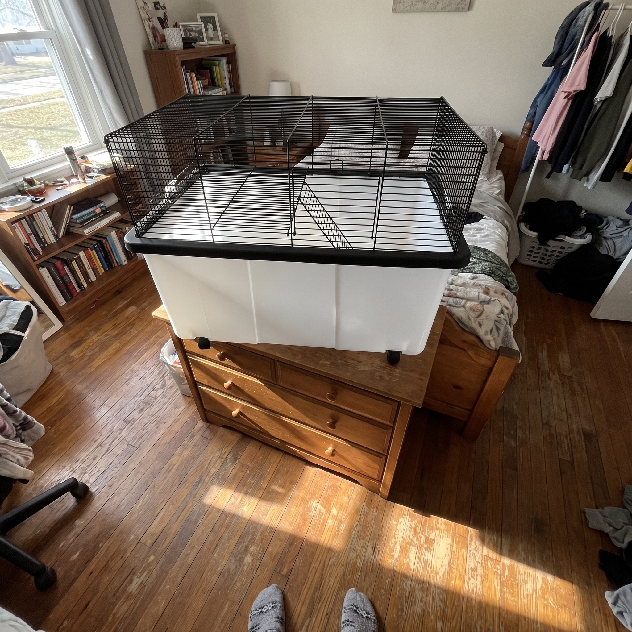 Owner POV of two-tier hamster cage on dresser - wrenwood ugc lifestyle v2