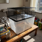 Low floor-level view of two-tier hamster cage on a low table - wrenwood ugc lifestyle v2