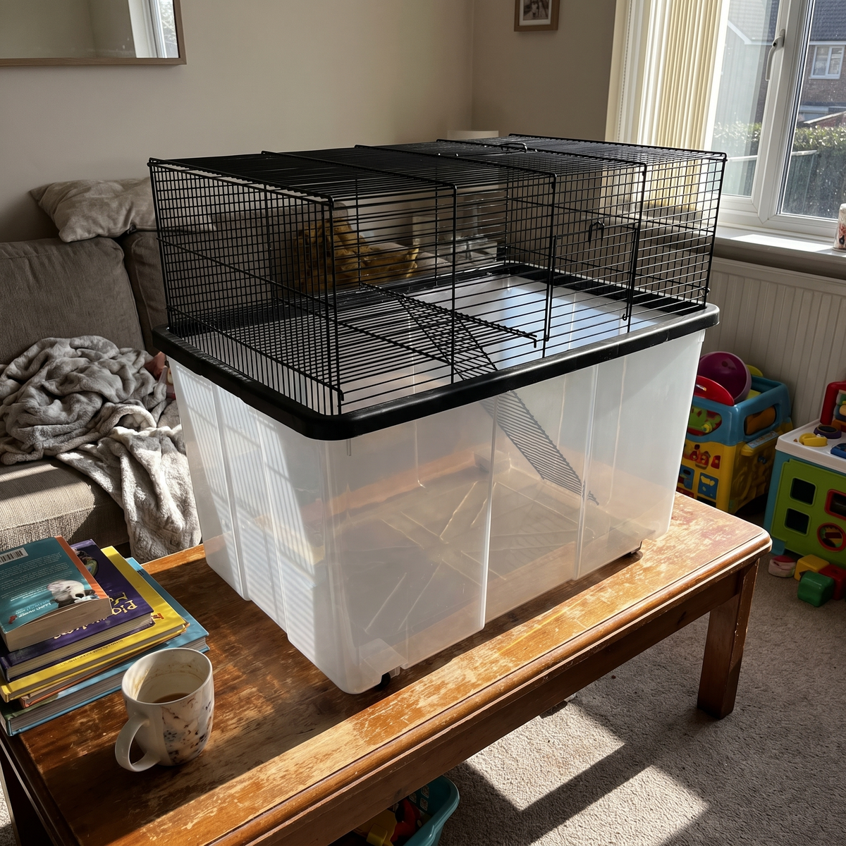Low floor-level view of two-tier hamster cage on a low table - wrenwood ugc lifestyle v2