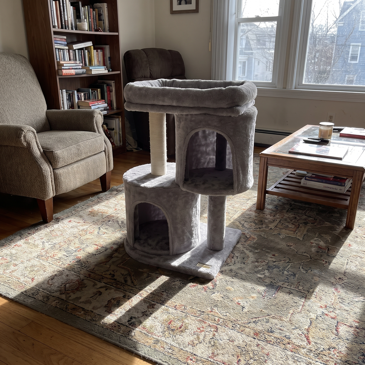 Compact cat tree alone in a sunny living room - wrenwood ugc lifestyle v2