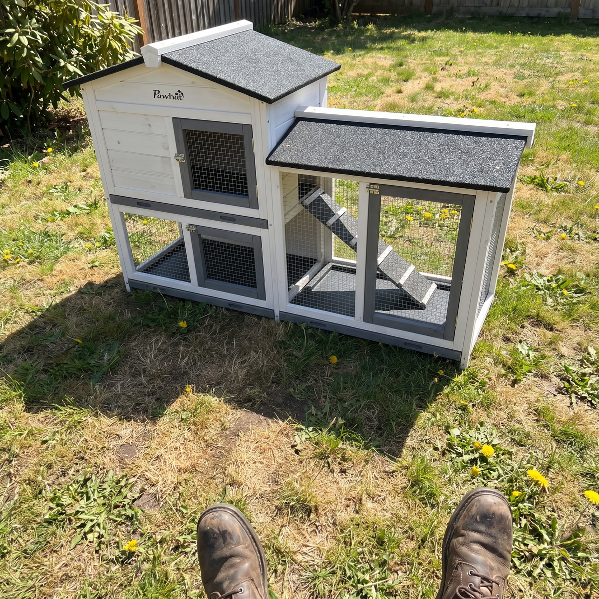 Owner's view of the white rabbit hutch on a backyard lawn - wrenwood ugc lifestyle v2