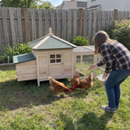 Family member feeding hens beside the wooden chicken coop - wrenwood ugc lifestyle v2