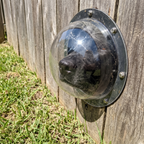 Dog nose at the acrylic pet fence window from a low angle - wrenwood ugc lifestyle v2