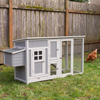 Brown hen stands on the lawn beside the grey wooden chicken coop and run.