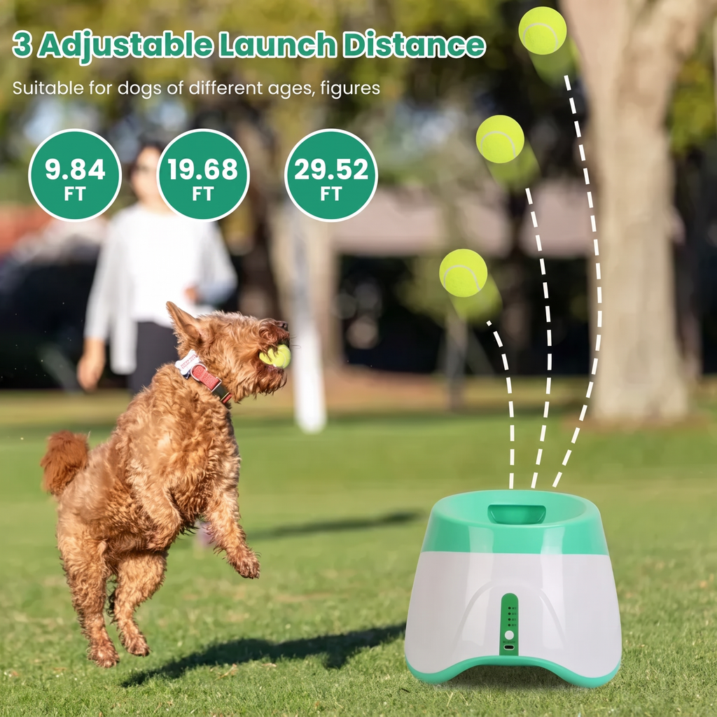 Curly brown dog catches a ball on grass beside the launcher, with launch distance graphics.