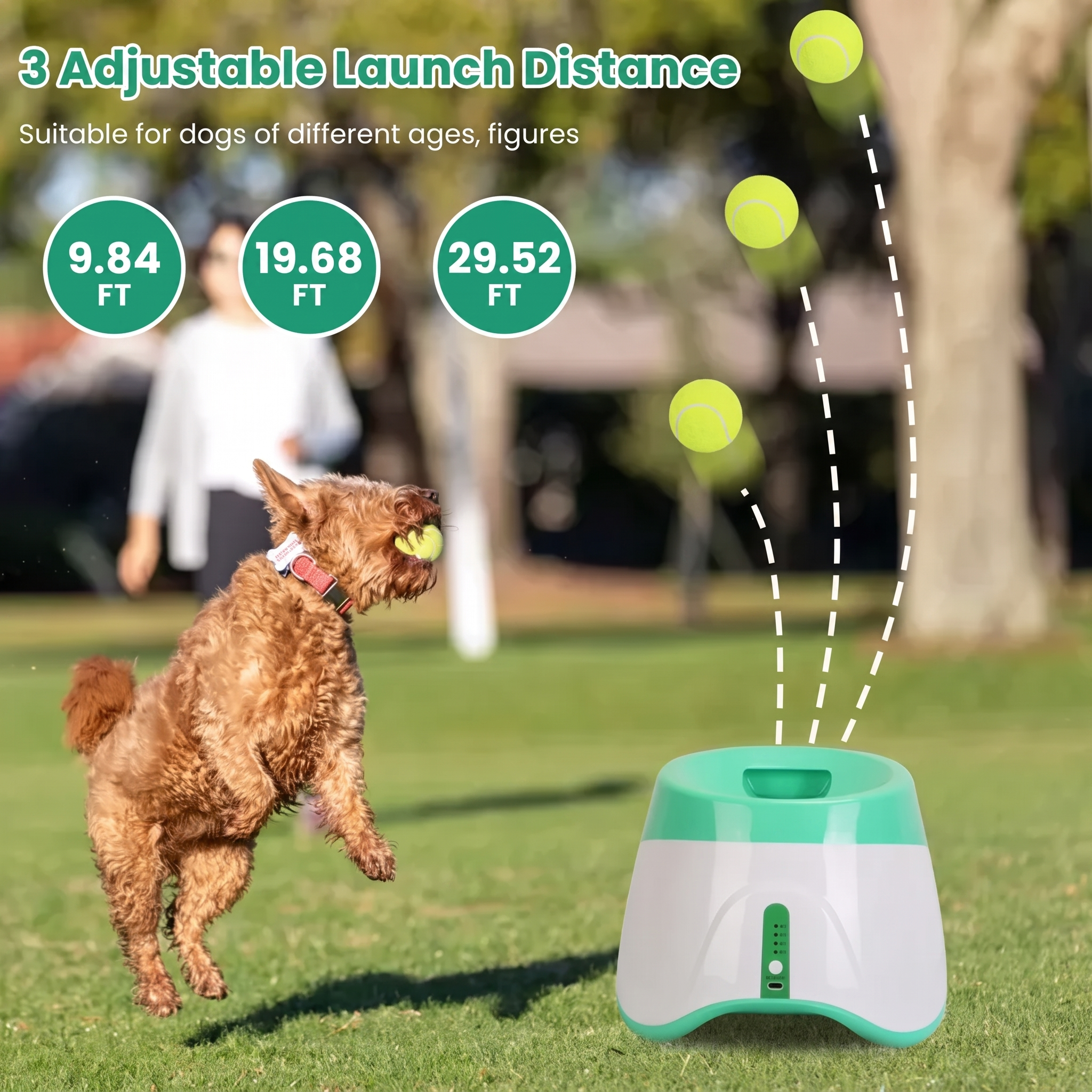 Curly brown dog catches a ball on grass beside the launcher, with launch distance graphics.