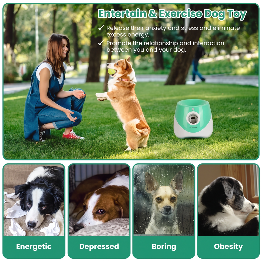 Woman plays with a dog beside the ball launcher, above four labelled dog portraits.