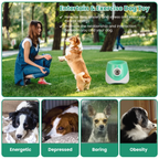 Woman plays with a dog beside the ball launcher, above four labelled dog portraits.