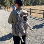 Grey legs-out pet backpack at a gravel trailhead, dog riding along - wrenwood ugc lifestyle v2