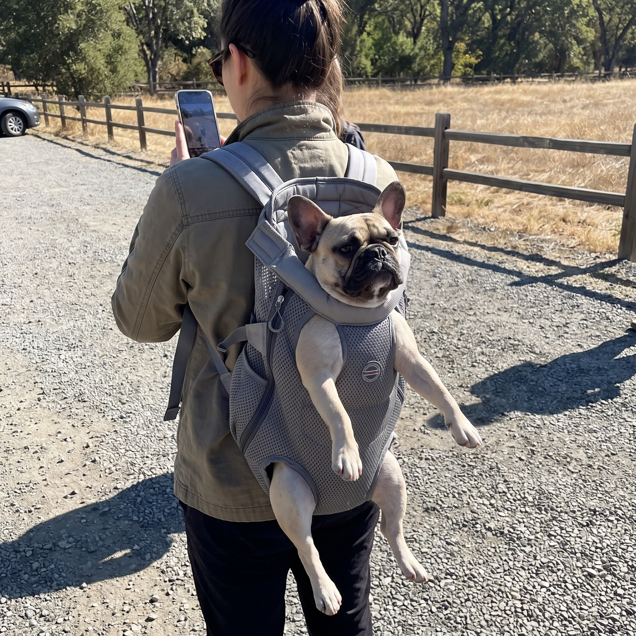 Grey legs-out pet backpack at a gravel trailhead, dog riding along - wrenwood ugc lifestyle v2
