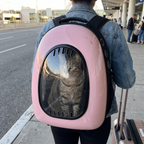 Pink bubble cat backpack worn at an airport curb, cat visible through the clear window - wrenwood hero v2