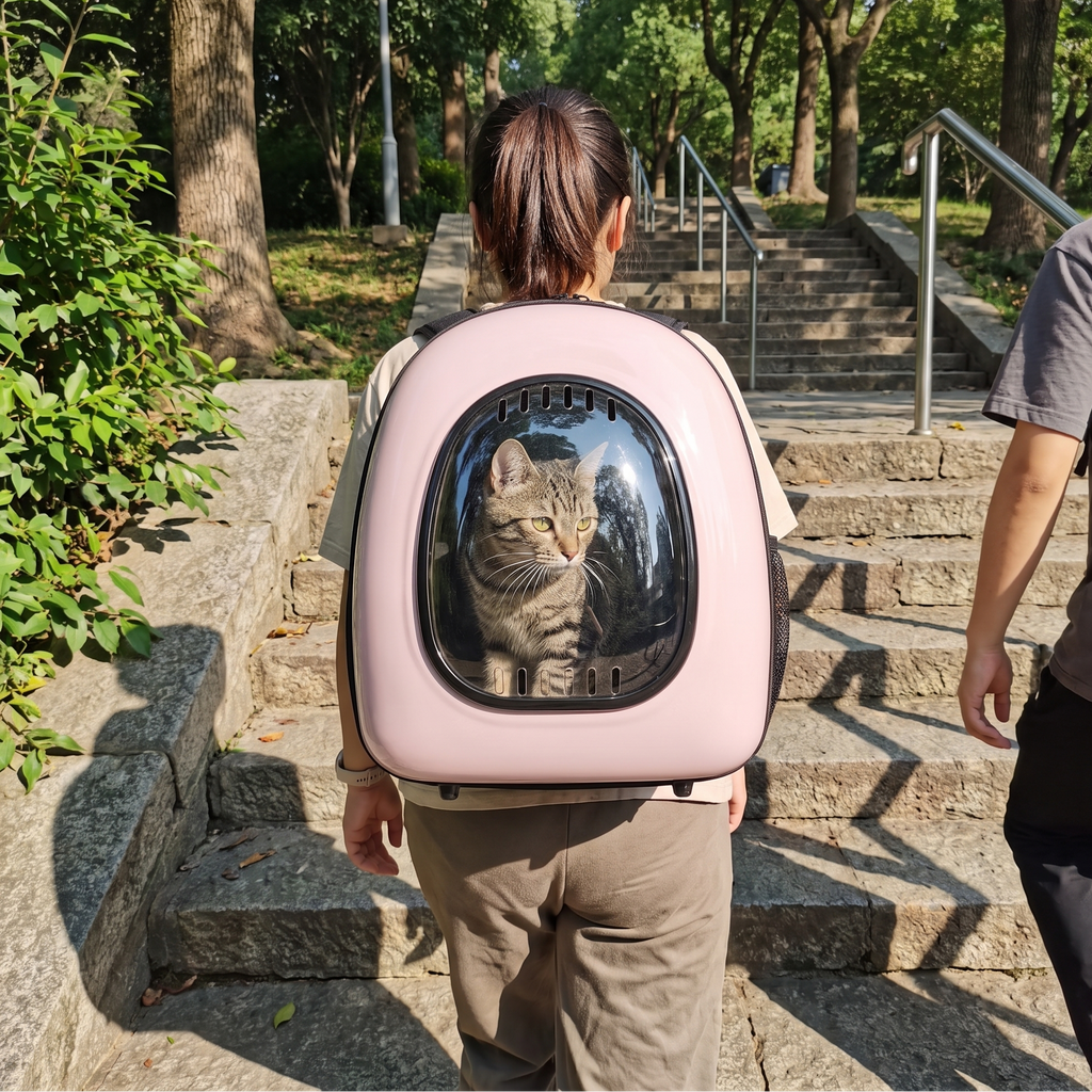 Pink bubble cat backpack climbing park steps, cat inside the clear window - wrenwood ugc lifestyle v2