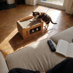 Cat scratching the cardboard scratcher sofa, phone shot from the couch - wrenwood ugc lifestyle v2