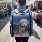 Pink foldable bubble pet backpack at a farmers market, dog looking out - wrenwood ugc lifestyle v2