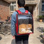 Red foldable bubble pet backpack in a courtyard, cat curled inside - wrenwood ugc lifestyle v2