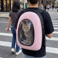 Pink bubble cat backpack on a city crosswalk, cat looking out - wrenwood ugc lifestyle v2