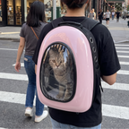 Pink bubble cat backpack on a city crosswalk, cat looking out - wrenwood ugc lifestyle v2