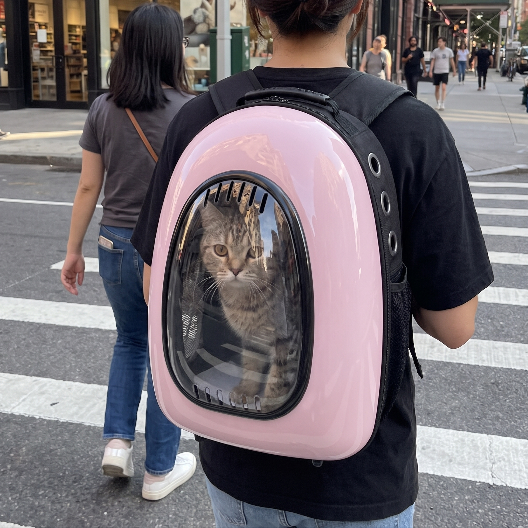 Pink bubble cat backpack on a city crosswalk, cat looking out - wrenwood ugc lifestyle v2