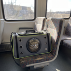 Grey bubble pet carrier on a train seat, cat looking out the window - wrenwood ugc lifestyle v2