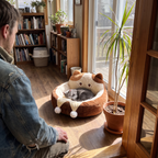 A gray cat sleeps comfortably in a plush brown and cream cat bed placed on a wooden floor in a sunlit room, with a person sitting nearby and a potted plant beside the window.