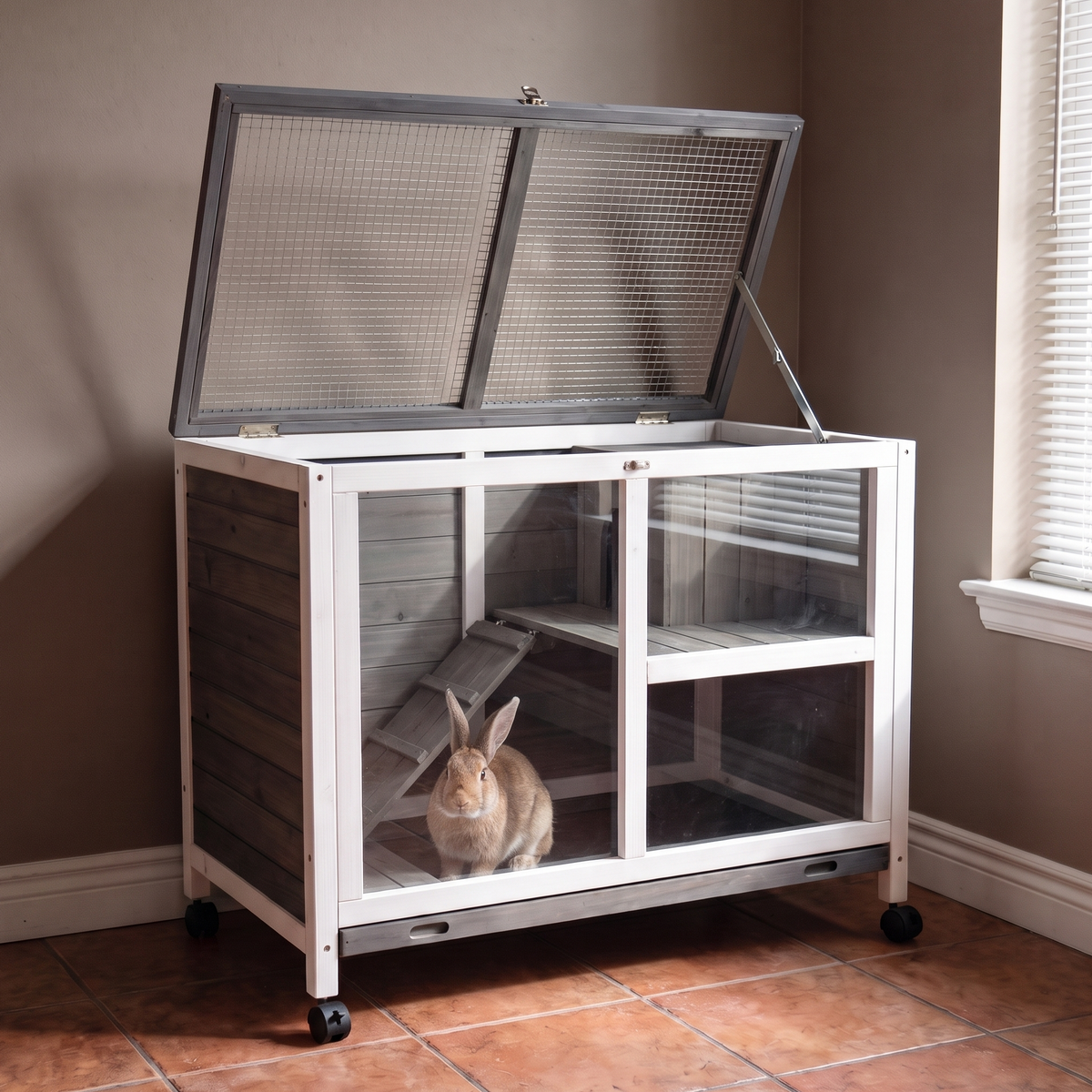 Brown rabbit sits inside the compact wooden hutch on castors by an indoor window.
