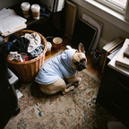 French bulldog in blue pyjamas sits on a rug beside a laundry basket.