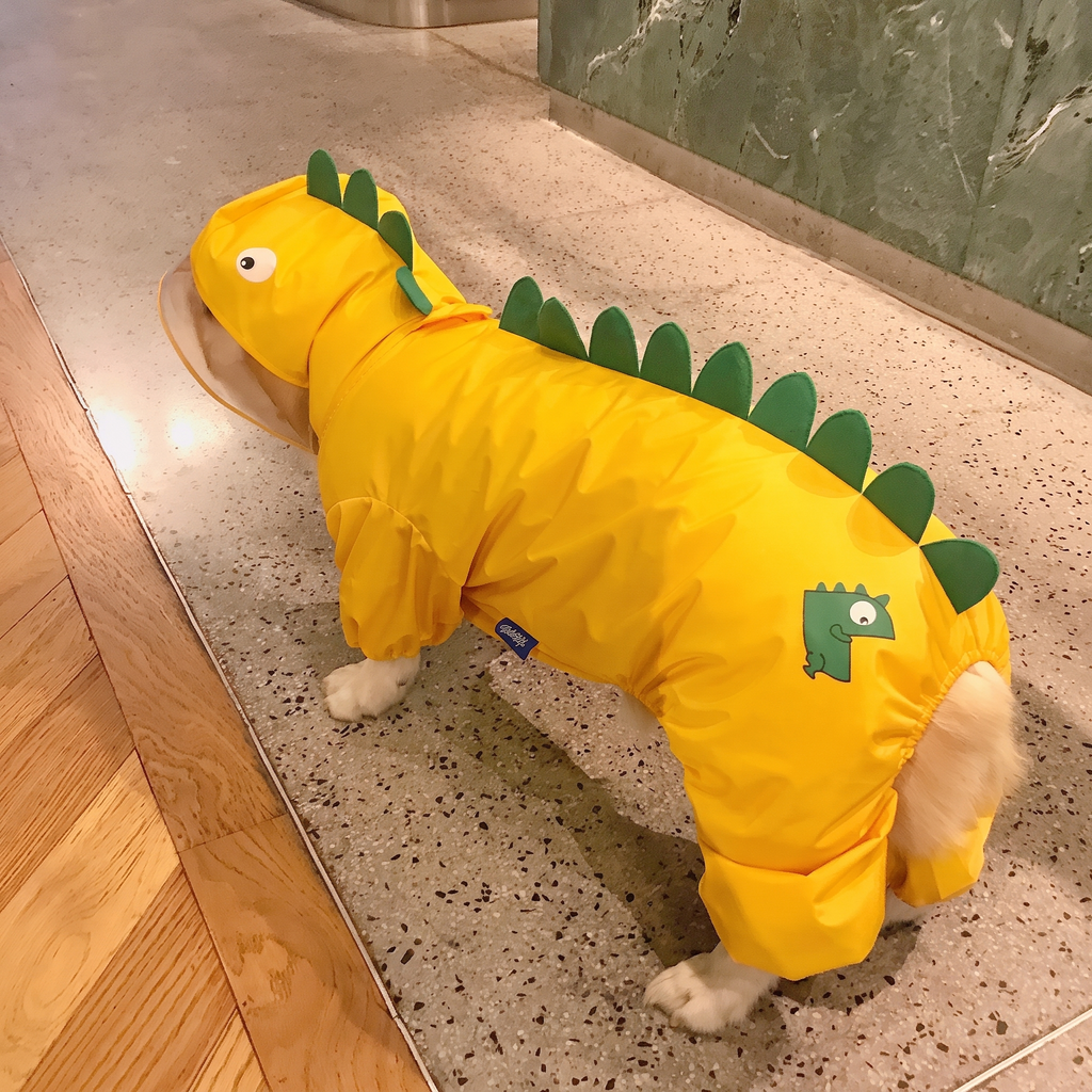 Dog in the yellow dinosaur raincoat stands on a mat by a glass door.