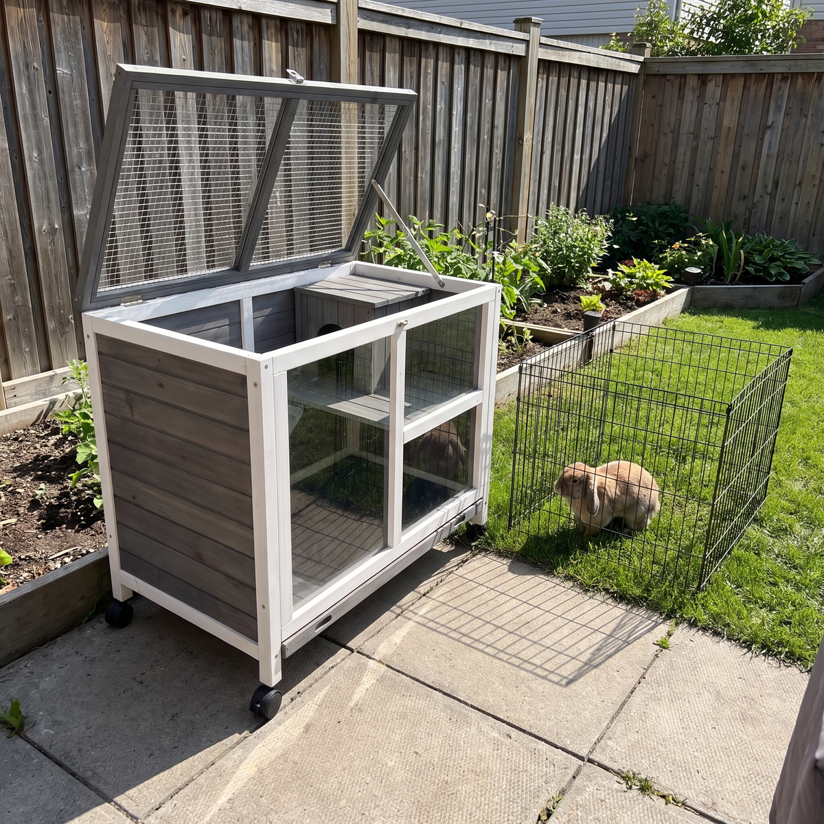 Rabbit beside the compact wooden hutch in the backyard - wrenwood ugc lifestyle v2