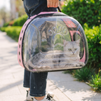 Owner carrying the clear bubble pet carrier by hand - wrenwood hero v2