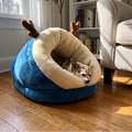 Small dog resting in the slipper cuddler bed - wrenwood ugc lifestyle v2