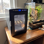 Reptile egg incubator on a keeper's desk with eggs inside - wrenwood ugc lifestyle v2
