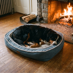 Bernese mountain dog sleeps in the blue-grey bolster pet bed on hardwood beside a lit fireplace.