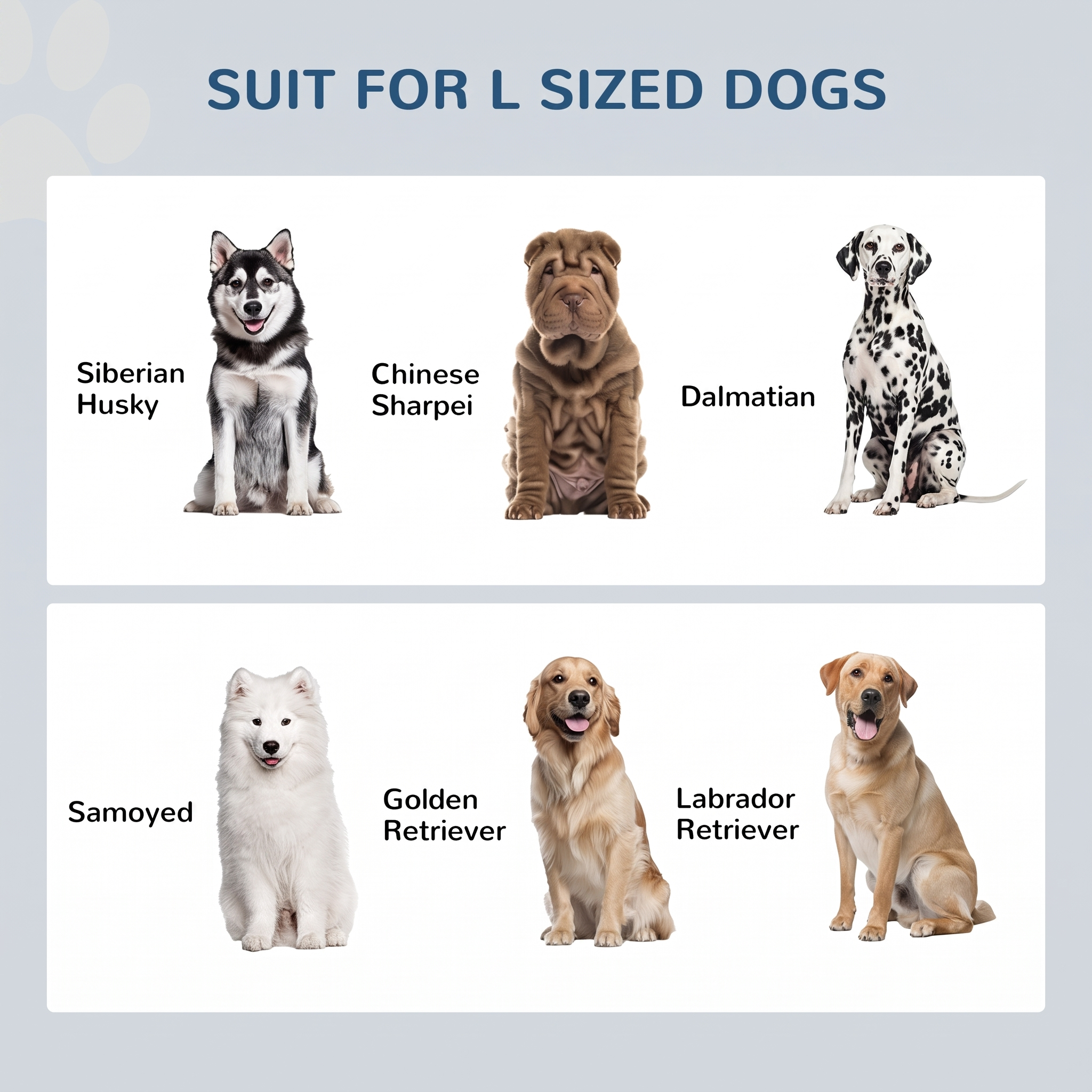 Chart of six large dog breeds labelled as suitable sizes on a plain background.