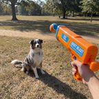 Australian shepherd waiting for a throw from the tennis ball launcher at the park - wrenwood ugc lifestyle v2