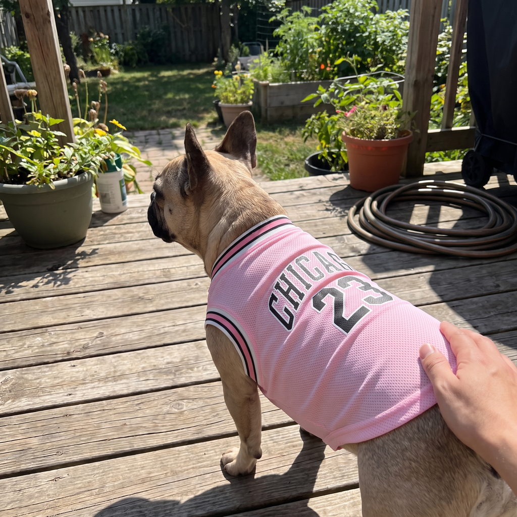 French bulldog in the pink basketball jersey on a backyard deck - wrenwood ugc lifestyle v2