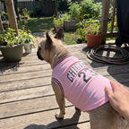 French bulldog in the pink basketball jersey on a backyard deck - wrenwood ugc lifestyle v2
