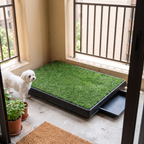 Artificial grass dog lawn potty tray in a bright balcony corner with a maltese - wrenwood hero v2