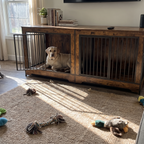 Yellow labrador resting inside the double dog crate console in a farmhouse living room - wrenwood ugc lifestyle v2