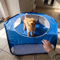 Goldendoodle puppy inside the foldable pet playpen in a kitchen - wrenwood ugc lifestyle v2