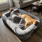 Owner and golden retriever relaxing together on the giant human dog bed in a living room - wrenwood ugc lifestyle v2