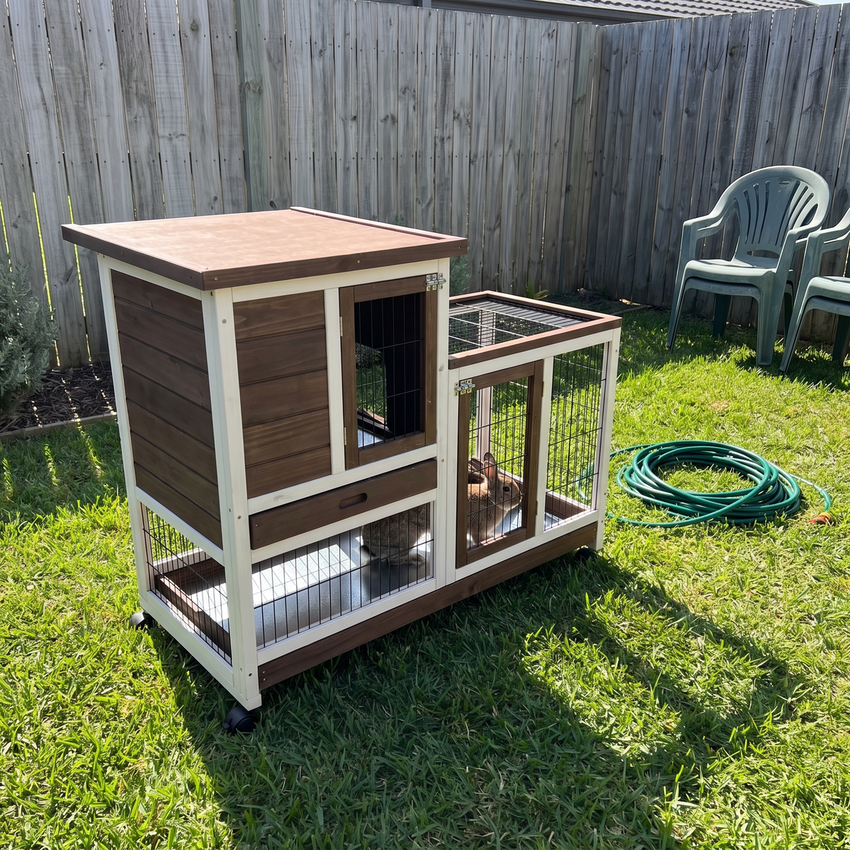 Gray dwarf rabbit in the brown elevated hutch run on a sunny backyard lawn - wrenwood ugc lifestyle v2